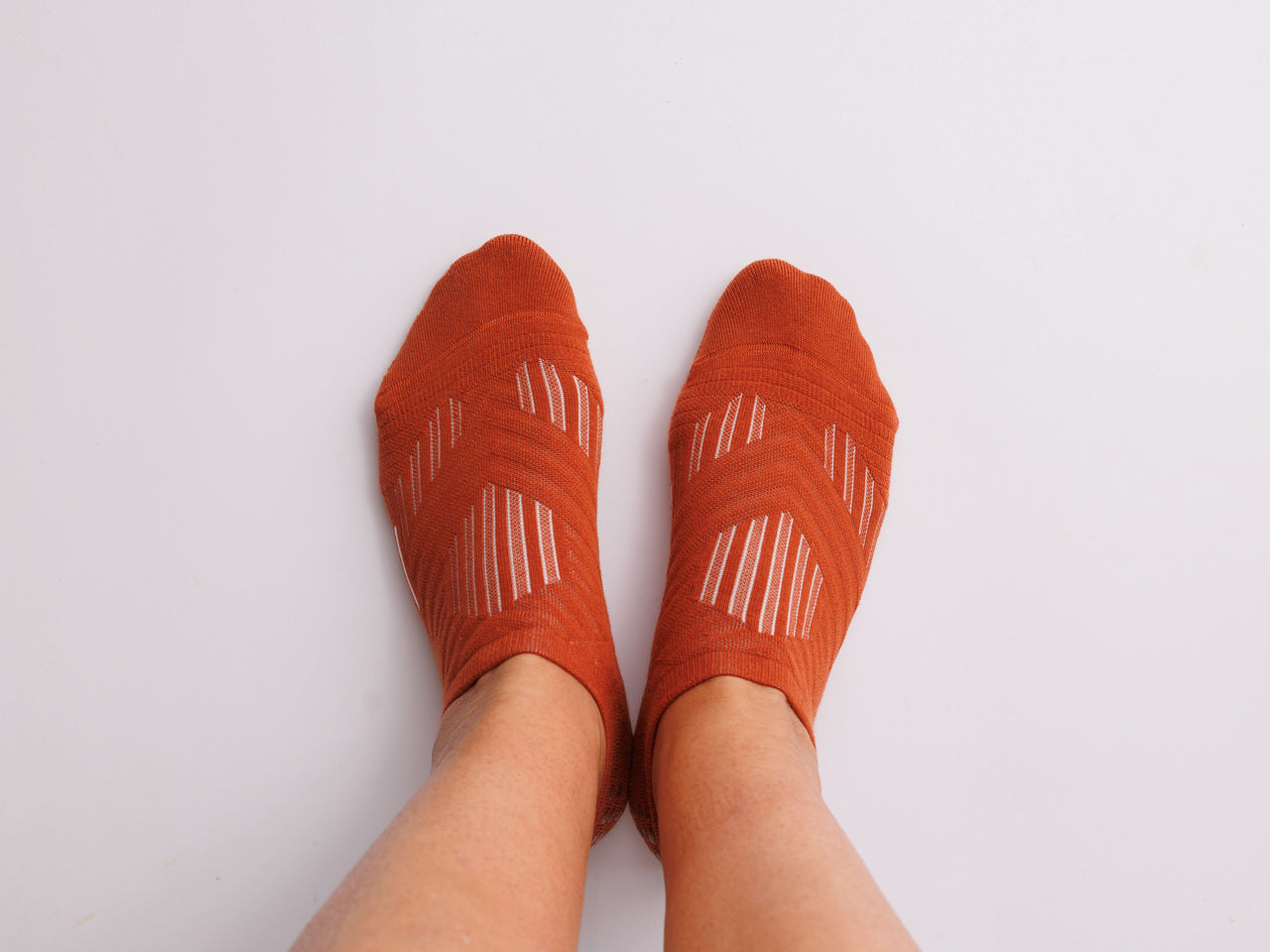 Fall Fanatic Collection