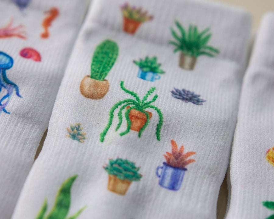 Caribbean kids socks: close-up of potted cactus prints. Squid Socks, the brand seen on Shark Tank.